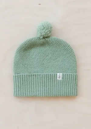 Merino Wool Baby Beanie in Pistachio